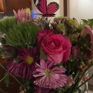 Thanks for shopping my closet!  🦋